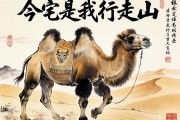 驼峰是我行走的山