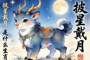 披星戴月是什么生肖