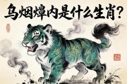 乌烟瘴气是什么生肖？