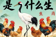 鹤立鸡群是什么生肖