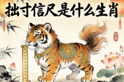 诎寸信尺是什么生肖