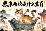 数米而炊是什么生肖